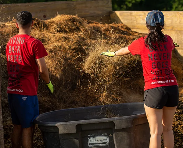Corporate Volunteers working working together