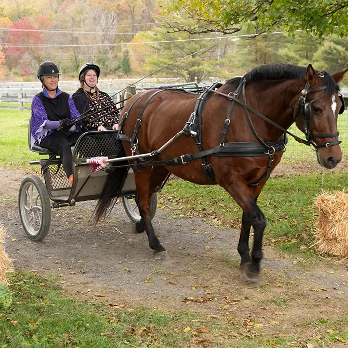 Driving with instructor
