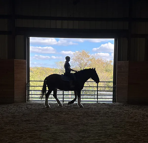 Silhouette of rider in indoor arena