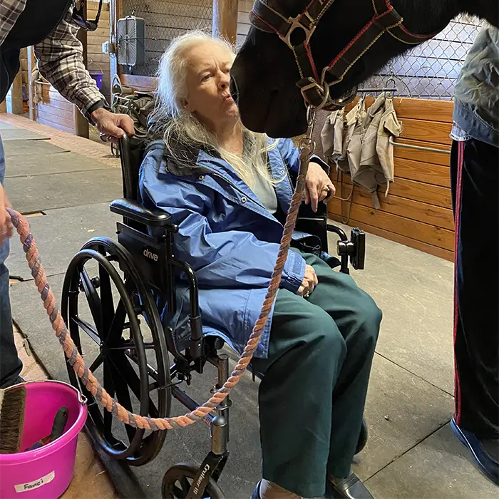 Elderly woman with horse